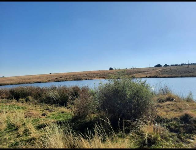 LAND FOR SALE IN HILLSIDE